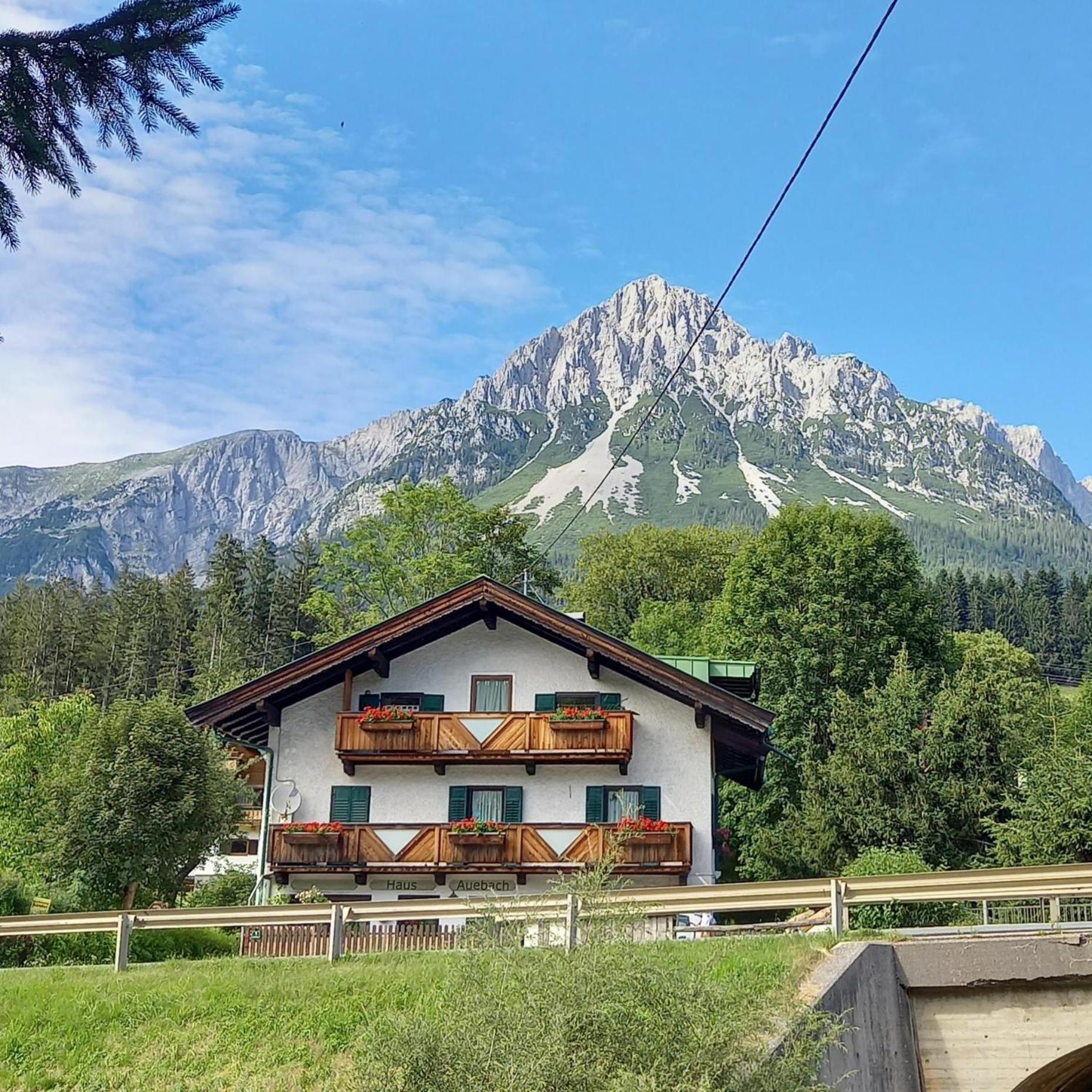 Haus Auebach Apartment เอลล์เมา ภายนอก รูปภาพ
